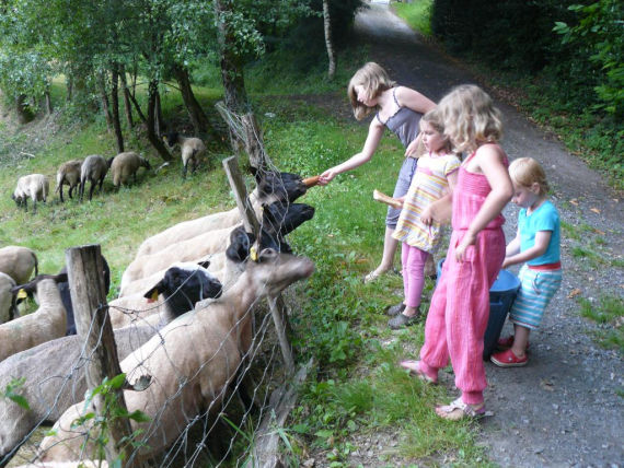 albugue camping voor kinderen